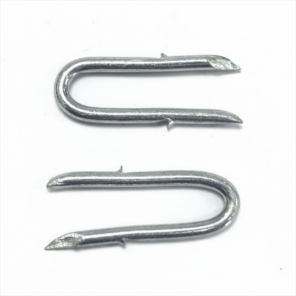 Galvanized barbed U Type nails  Fence staples(BWG9 x2”  3.76X50MM)